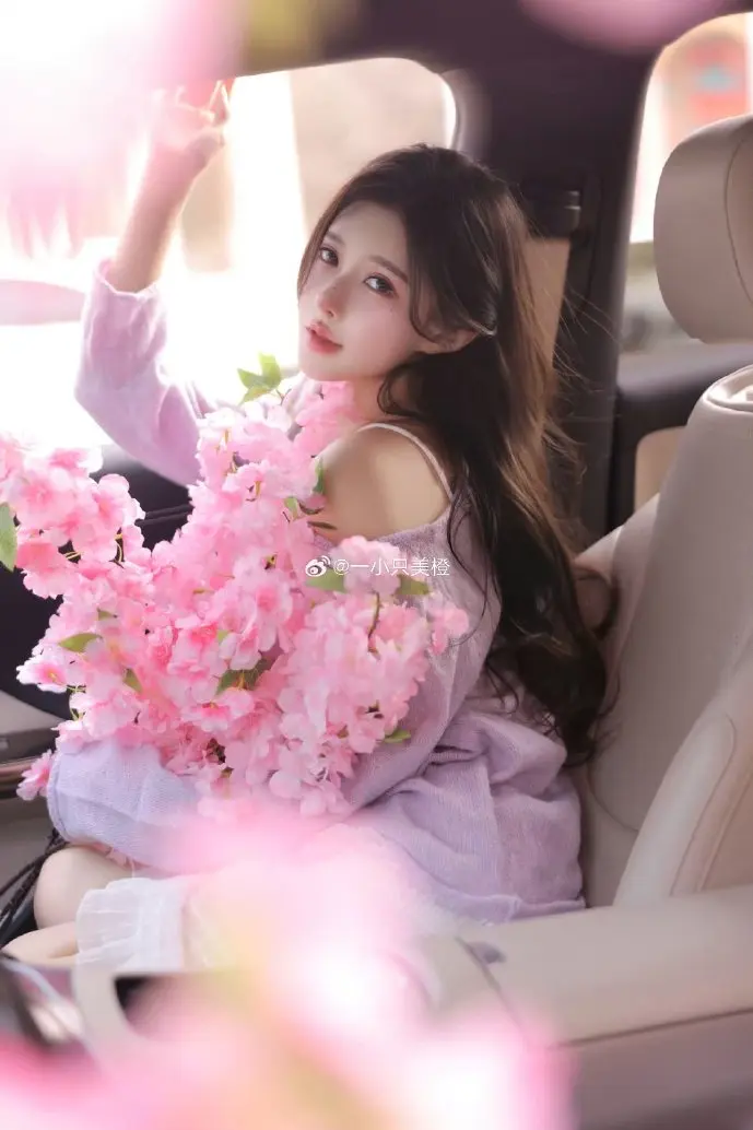 车联网预警系统示意图